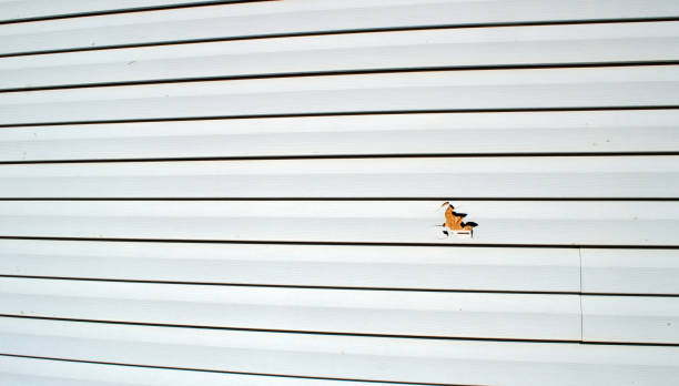 Siding for Commercial Buildings in Tuscaloosa, AL